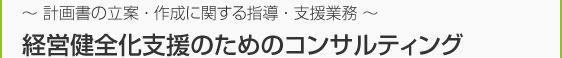 ~計画書の立案・作成に関する指導・支援業務~ 経営健全化支援のためのコンサルティング ~計画書の立案・作成に関する指導・支援業務~ 経営健全化支援のためのコンサルティング