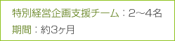 特別経営企画支援チーム:2~4名 期間:約3ケ月 特別経営企画支援チーム:2~4名 期間:約3ケ月
