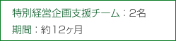 特別経営企画支援チーム:2名 期間:約12ケ月 特別経営企画支援チーム:2名 期間:約12ケ月
