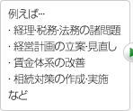 例えば… ・経理・税務・法務の諸問題 ・経営計画の立案・見直し ・賃金体系の改善 ・相続対策の作成・実施など