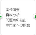 実情調査・資料分析・問題点の抽出・専門家への照会