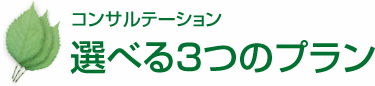コンサルテーション 選べる3つのプラン