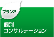 プラン２ 個別コンサルテーション