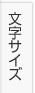 文字サイズ変更
